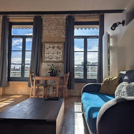 Le Canut Lyonnais - Loft Classe 3 Etoiles Avec Mezzanine *