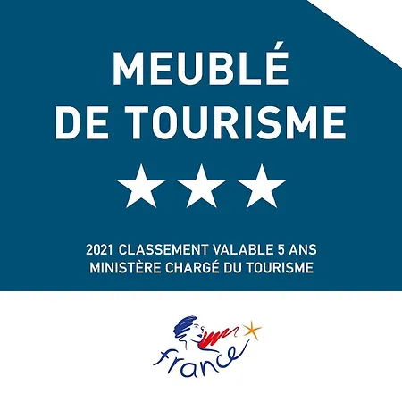 Le Canut Lyonnais - Loft Classe 3 Etoiles Avec Mezzanine Lyon