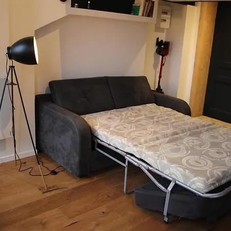 Le Canut Lyonnais - Loft Classe 3 Etoiles Avec Mezzanine Apartman *