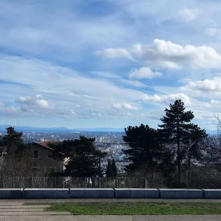 Le Canut Lyonnais - Loft Classe 3 Etoiles Avec Mezzanine * Lyon