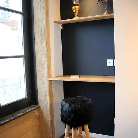Le Canut Lyonnais - Loft Classe 3 Etoiles Avec Mezzanine * Lyon