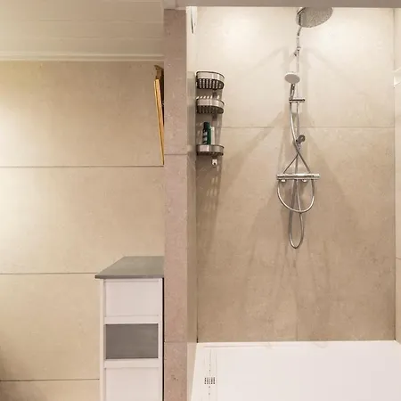 Le Canut Lyonnais - Loft Classe 3 Etoiles Avec Mezzanine Apartman *