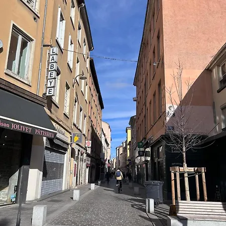 Le Canut Lyonnais - Loft Classe 3 Etoiles Avec Mezzanine Lyon